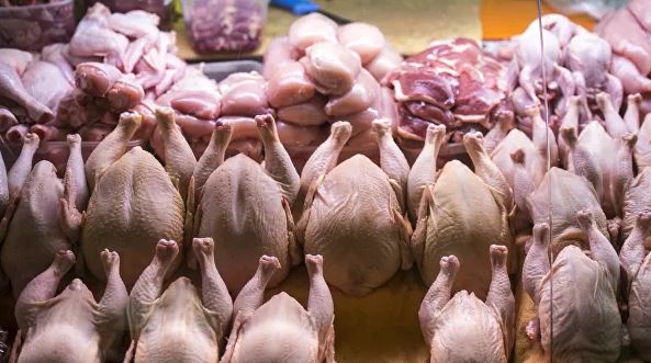 Поставки курятины из России в Китай в 2020 году превысят 100 тысяч тонн